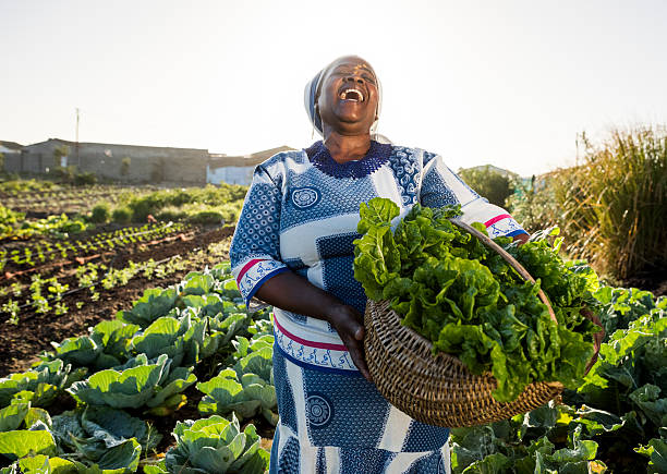 Adult African Female wearing Traditional clothes and face paint holds back her head and laughs , holding a basket filled with vegetables, spinach, she has harvested.