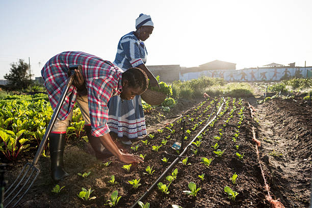 Morning image of an adult african woman, in traditional clothing, smiling at a young african male while they are in their garden.